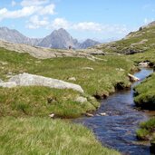 obisellalm vernuer passeier