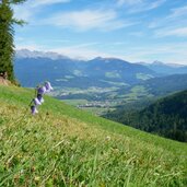 wiesen bei haidenberg