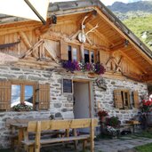 valser alm falser alm