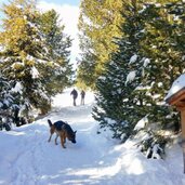 weg zur raschoetz huette winter rodeln rasciesa