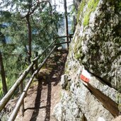 weg a moerre schweinsteg waldpfad