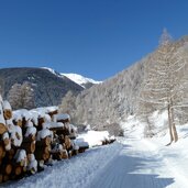 taufers muenstertal winter avignaweg holz