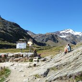 schutzmauer martelltal am plimabach dahinter cevedale