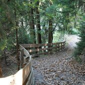 weg im wald oberhalb villanders