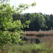 Vahrner See