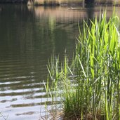Vahrner See