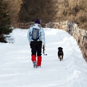 winter person hund spaziergang schnee salten jenesien
