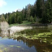 biotop fahrer weiher moelten