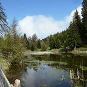 biotop fahrer weiher moelten