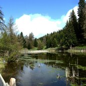 biotop fahrer weiher moelten