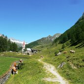 kasern talschluss ahrntal heilig geist kirche kuehe