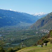 blick von vellau richtung partschins und gebiet naturns