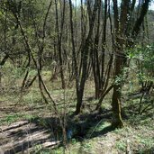 weg st hippolyt nach voellan narauner weiher