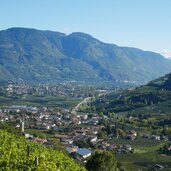 blick auf algund muehlbach dahinter meran