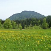 wiesen bei platzers und tisner gall