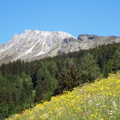 blick auf telfer weissen