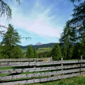 fruehling wiesen bei aschl voeran