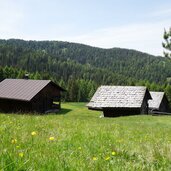 wiesen und almhuetten oberhalb von getzenberg