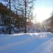 langlaufen sarntal