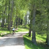 forstweg zum moeltner kaser bei moeltener joch mtb