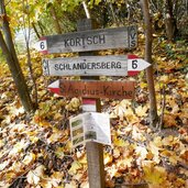 wegweiser kortsch st aegidius herbstwald