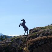 neuer haflinger erlebnisweg buergeleweg pferd shilouette