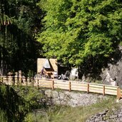 neuer haflinger erlebnisweg buergeleweg