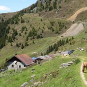 telfer ochsenalm pferd