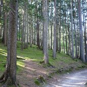 weg nr hafling oberdorf nach st kathrein