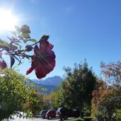 lajen ortsteil tschoefas ceves aussicht sued