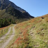 weg forstweg schlupperalm borstalpe herbst