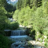 lasanke oberhalb von petschied