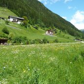 pfunderer tal bei weitental