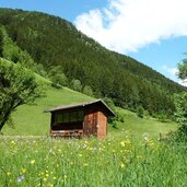 angerdorf hoefe pfunderer tal bienenstand