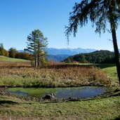 biotop steiflerweiher oberglaning jenesien