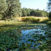 kreuzer weiher oberglaning