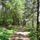 gais weg nr nach uttenheim