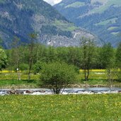 ahr erlebnisweg bei uttenheim ahrauen