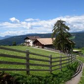 wege bei perkmann hof oberhalb afing fr