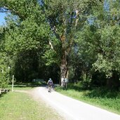 biotop tschenglser au radroute claudia augusta etschradweg