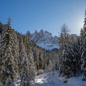 Villnoess Geisler Wald Schnee Winter