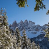 Villnoess Geisler Wald Schnee Winter