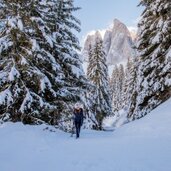 Villnoess Geisler Rodeln Schlitten Wald Schnee Winter