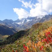 seebertal herbstfarben