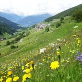 matsch im matschertal