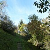 wanderweg toell quadrat