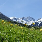 wiesen in parnetz dahinter tschenglser hochwand