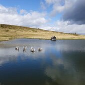 glittner see