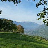 herbst wiesen quadrat blick richtung vinschgau