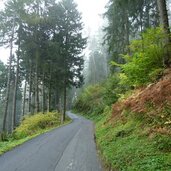 nebel aum weg bei bruennl quadrat